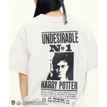 韓國Romantic Crown - [HP X RMTC] HARRY POTTER T-SHIRTS_LIGHT GREY